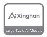 Large-Scale AI Models